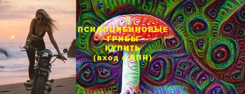 Галлюциногенные грибы MAGIC MUSHROOMS  Димитровград 