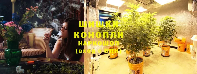 Конопля SATIVA & INDICA  Димитровград 